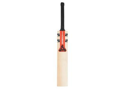 Palace Gray Nicolls Cricket Bat Wood