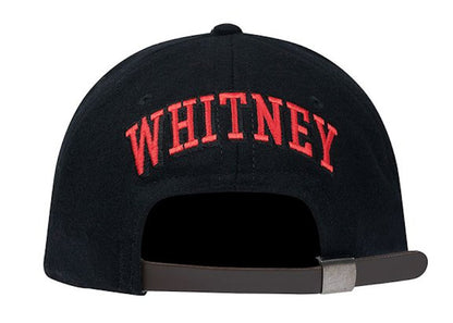 Palace Houston Ebbets Hat Black