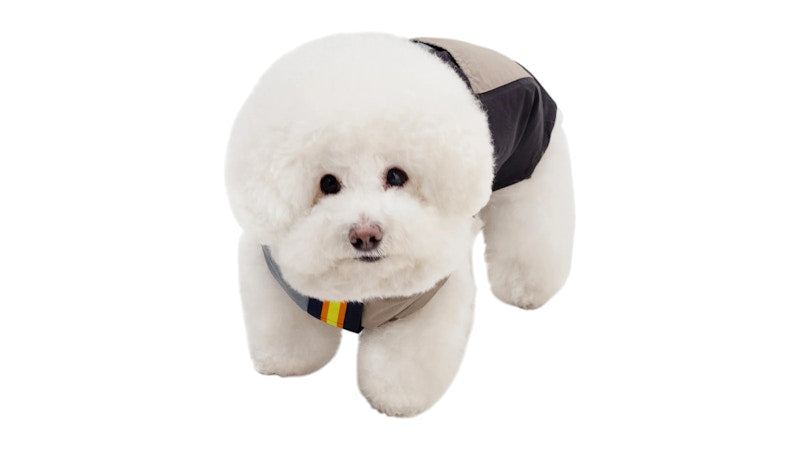 Palace K-Way Le Vrai 4.0 Horatio Dog Jacket Multicolor/Blue/Black