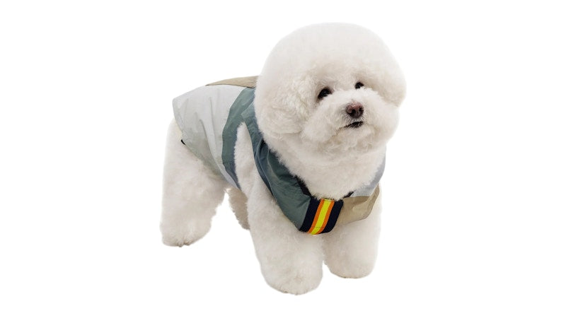 Palace K-Way Le Vrai 4.0 Horatio Dog Jacket Multicolor/Blue/Black
