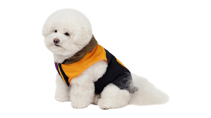 Palace K-Way Le Vrai 4.0 Horatio Dog Jacket Multicolor/Purple/Orange
