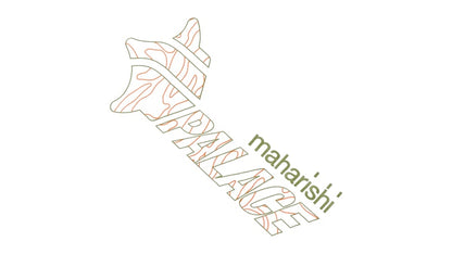 Palace Maharishi Temple Star T-Shirt White