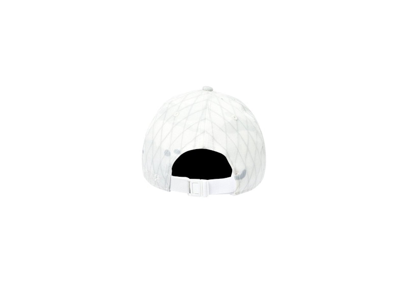 Palace Multicam P 6-Panel Alpine
