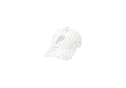 Palace Multicam P 6-Panel Alpine