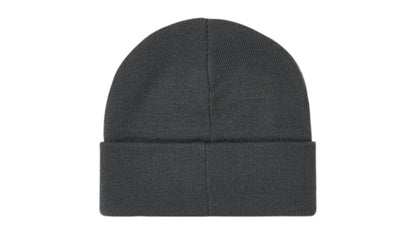 Palace Tri-Ferg Beanie Slate