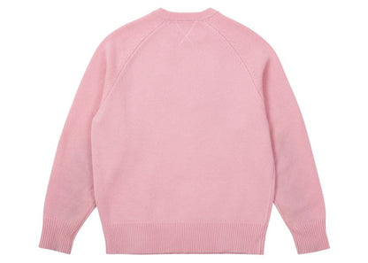 Palace x Evisu Seagull Knit Pink Nectar