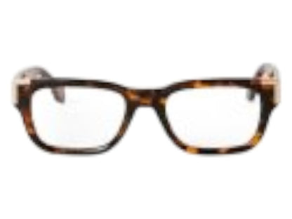 Palm Angels Style 11 Eyeglasses Havana Clear Lens (PERJ011F24PLA0016000)