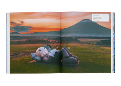 KAWS Phaidon Uniqlo Book