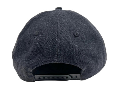 Pleasures Stretch Snapback Black