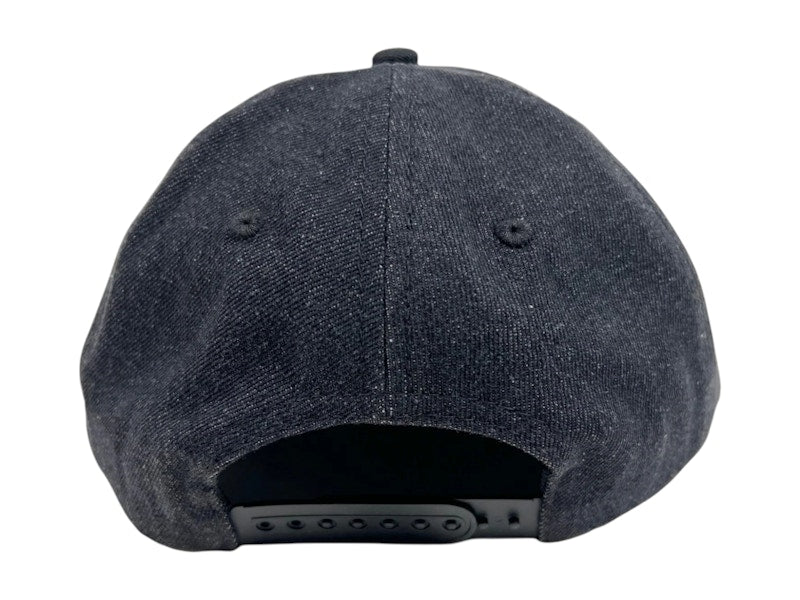 Pleasures Stretch Snapback Black