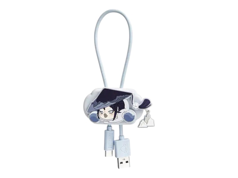 Pop Mart SKULLPANDA The Ink Plum Blossom Series Line The Valley iPhone Cable