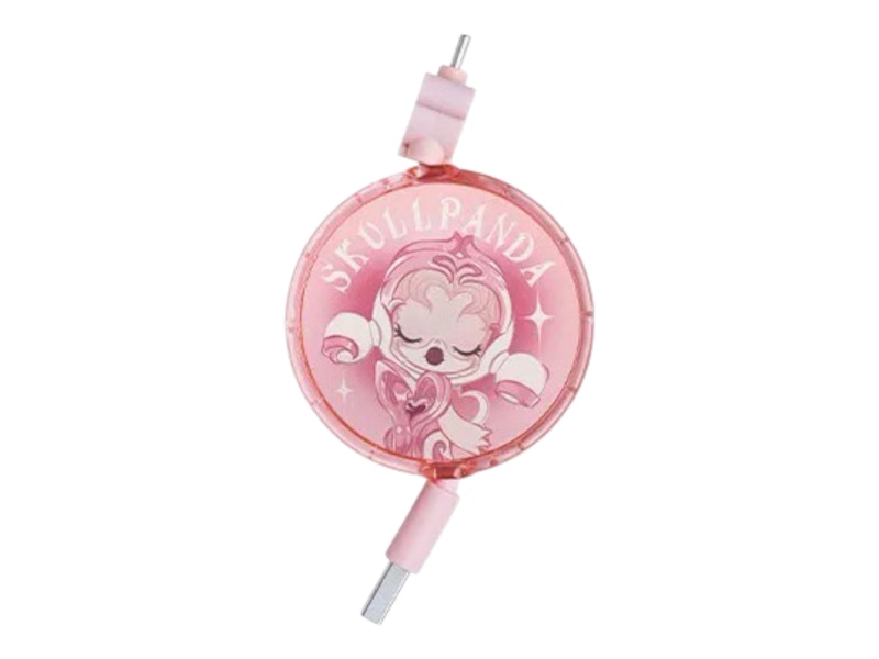 Pop Mart SKULLPANDA The Sound Series The Trust Type C Cable