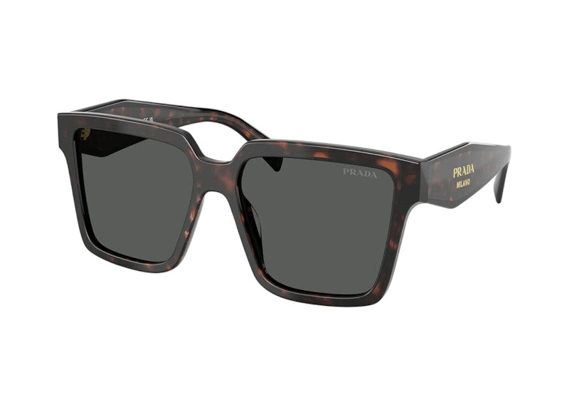 Prada Square Sunglasses Root Tortoise (PR_24ZS_17N40L_56mm)
