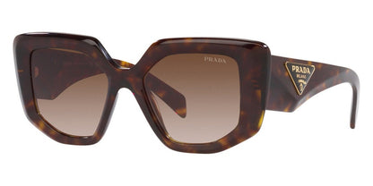 Prada Square Sunglasses Tortise (PR14ZSF-2AU6S1-52)