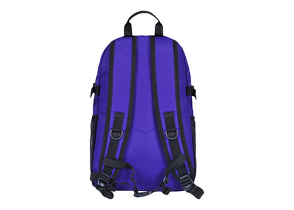 Rave Skateboards EASTPAK Diren Pwr Summit Edition Backpack POWR Purple