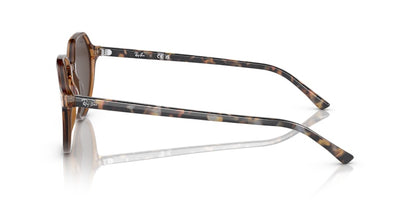 Ray-Ban Thalia Square Sunglasses Transparent Brown (0RB2195 663693)