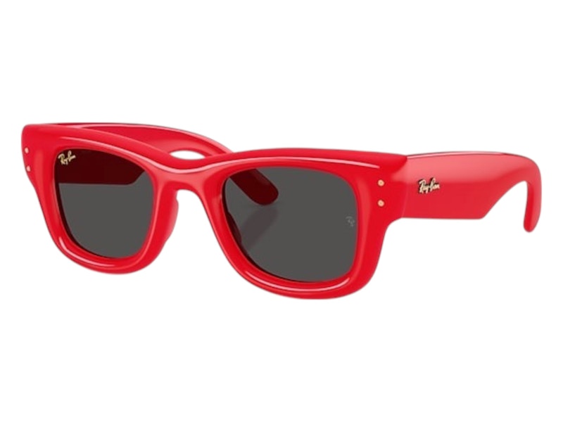 Ray-Ban x A$AP Rocky Wayfarer Puffer Sunglasses Polished Red Ultra Black (RB4940)