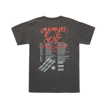 Red Hot Chili Peppers Totem T-shirt Grey