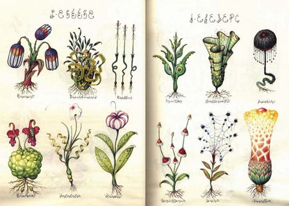 Rizzoli Codex Seraphinianus Book