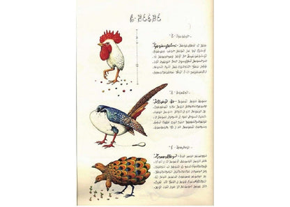 Rizzoli Codex Seraphinianus Book