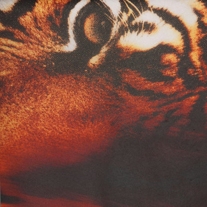 SKIMS x Roberto Cavalli Tie Side Mini Skirt Tiger Face Print