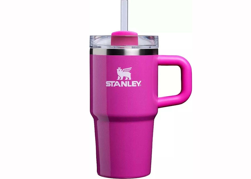 Stanley x Dicks Sporting Goods Winter Wonderland Collection Flowstate Quencher 20oz Tumbler Punch Shimmer