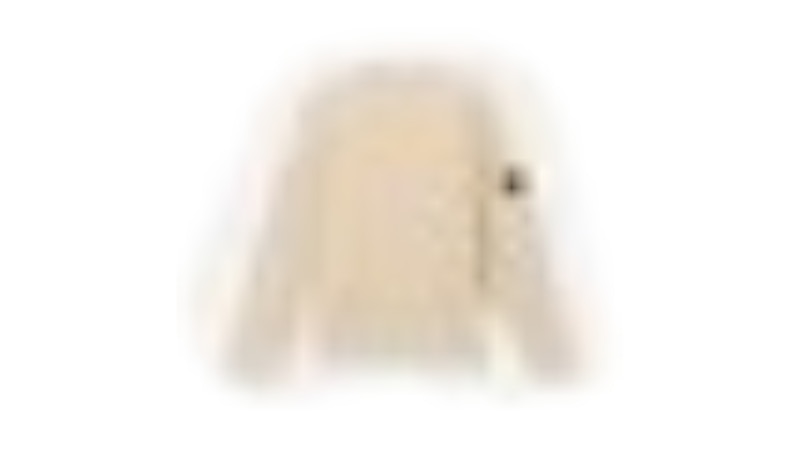 Stone Island Organic Cotton Waffle Fleece 6100008 Sweatshirt Desert