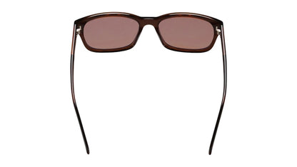 Stussy Alan Sunglasses Brown/Brown Lens