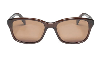 Stussy Alan Sunglasses Brown/Brown Lens