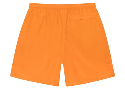 Stussy Big Basic Water Short Blaze