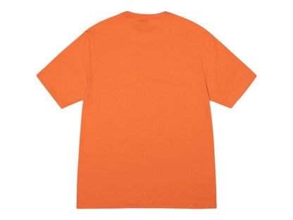 Stussy Champion Tee Coral