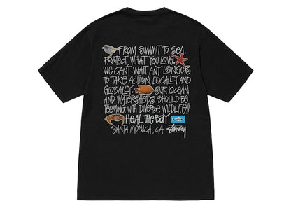Stussy Heal The Bay Pigment Dyed Summit To Sea Tee Black