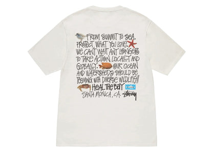 Stussy Heal The Bay Pigment Dyed Summit To Sea Tee Natural