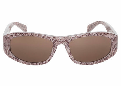Stussy Landon Sunglasses Snakeskin Brown