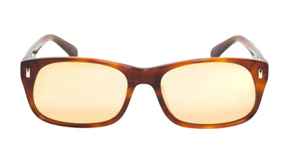 Stussy Michael Sunglasses Tortoise/Brown Lens