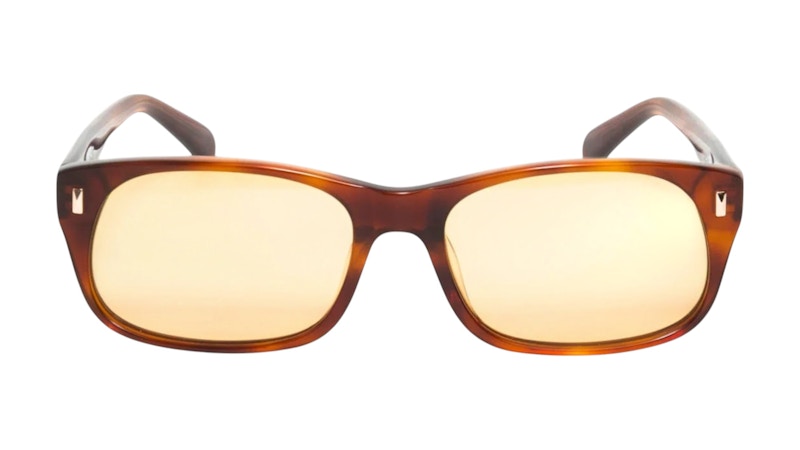 Stussy Michael Sunglasses Tortoise/Brown Lens