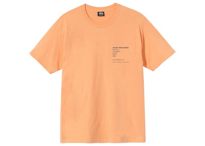 Stussy Modern Leaders Tee Peach
