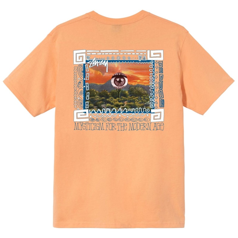 Stussy Mojave T-shirt Peah