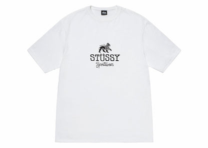Stussy Sportswear Tee White