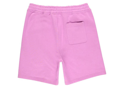 Stussy Stock Logo Short Violet