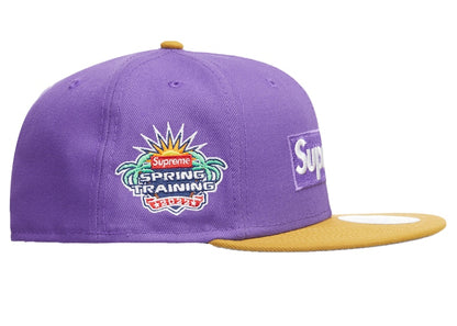 Supreme 2-Tone Box Logo New Era Purple
