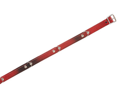 Supreme Blackmeans Concho Leather Belt Red