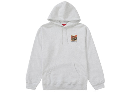 Supreme Butthole Surfers Hooded Sweatshirt Ash Grey