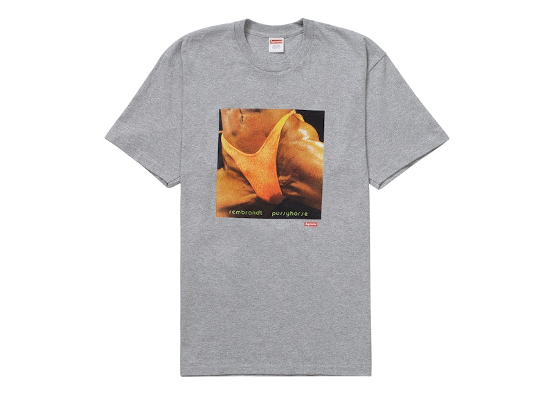 Supreme Butthole Surfers Rembrandt Pussyhorse Tee Heather Grey