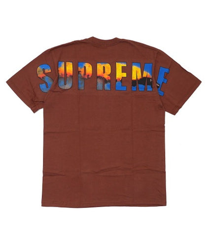 Supreme Crash Tee Brown