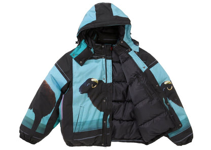Supreme Damien Hirst Down Puffer Jacket Black
