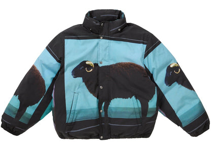 Supreme Damien Hirst Down Puffer Jacket Black