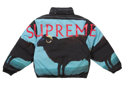 Supreme Damien Hirst Down Puffer Jacket Black