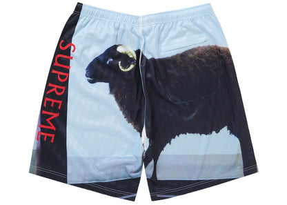 Supreme Damien Hirst Soccer Short Black