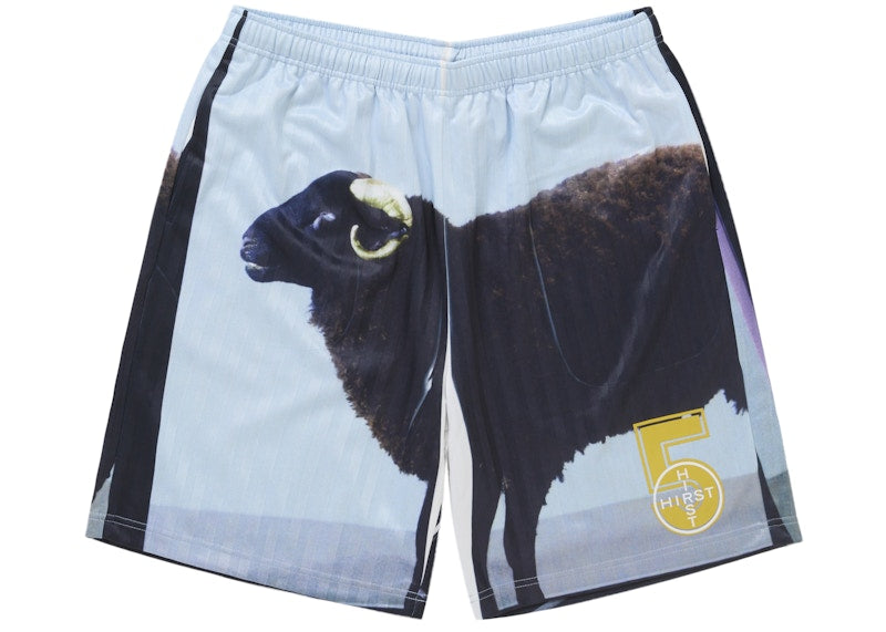 Supreme Damien Hirst Soccer Short Black